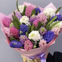 Colorful hiacintus bouquet