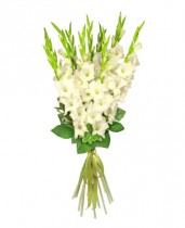Bouquet of white gladioluses