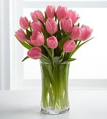 Special Offer! Purple tulips 25 / 19pcs